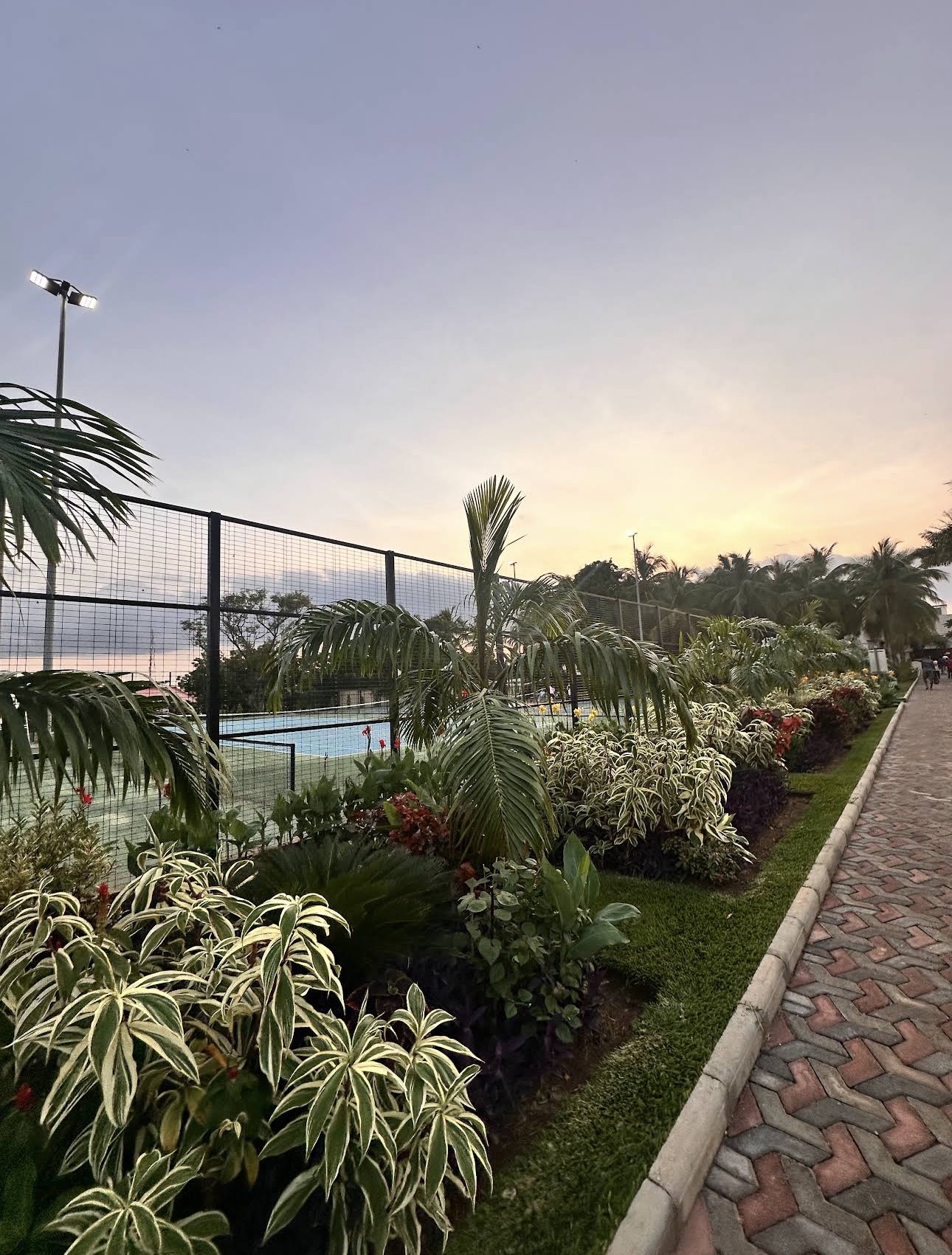 Sports turf